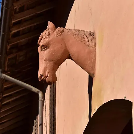 Borgo Zelata *
